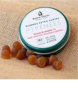 Gums Wellness of the Pyrenees BIO, 30 g